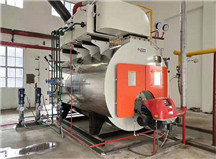 WNS低氮冷凝式燃氣蒸汽鍋爐